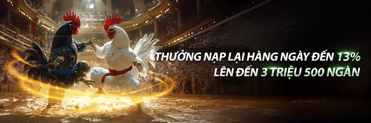 Khuyến mãi 5fun 2026 hấp dẫn cho cá cược thể thao và casino trực tuyến