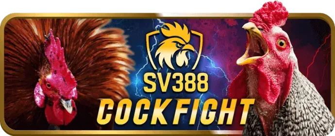 Cá cược bóng rổ 5fun