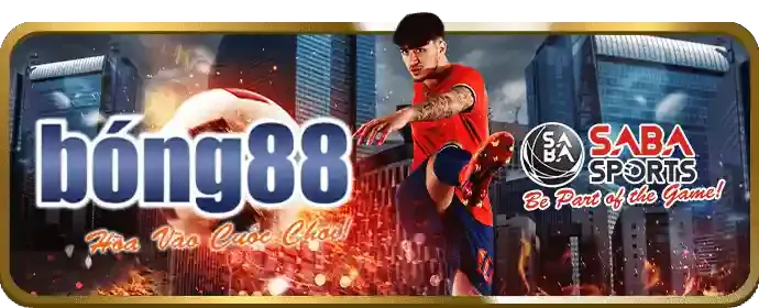 Cá cược quần vợt 5fun